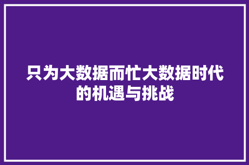 只为大数据而忙大数据时代的机遇与挑战