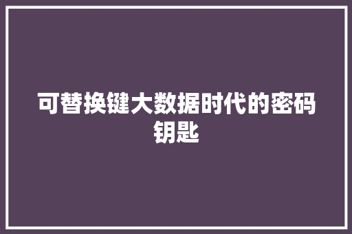 可替换键大数据时代的密码钥匙