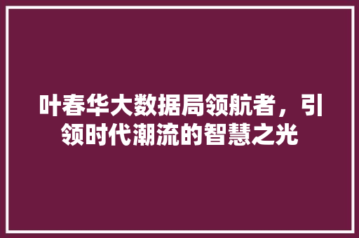 叶春华大数据局领航者,引领时代潮流的智慧之光 叶春华大数据局领航者,引领时代潮流的智慧之光