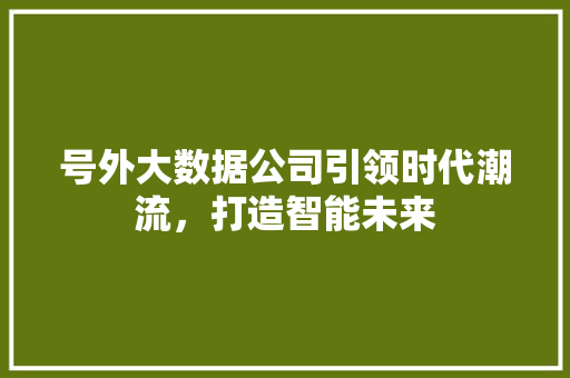 号外大数据公司引领时代潮流,打造智能未来 号外大数据公司引领时代潮流,打造智能未来