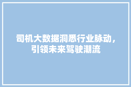 司机大数据洞悉行业脉动，引领未来驾驶潮流