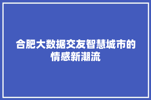 合肥大数据交友智慧城市的情感新潮流 电脑配置