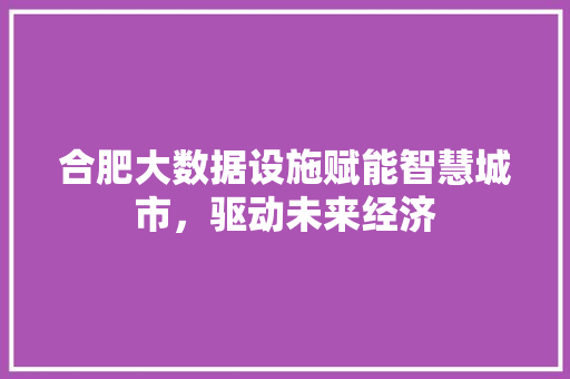合肥大数据设施赋能智慧城市，驱动未来经济