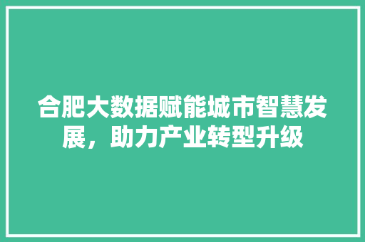 合肥大数据赋能城市智慧发展，助力产业转型升级