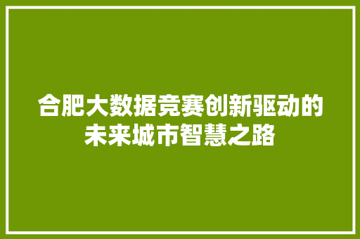 合肥大数据竞赛创新驱动的未来城市智慧之路