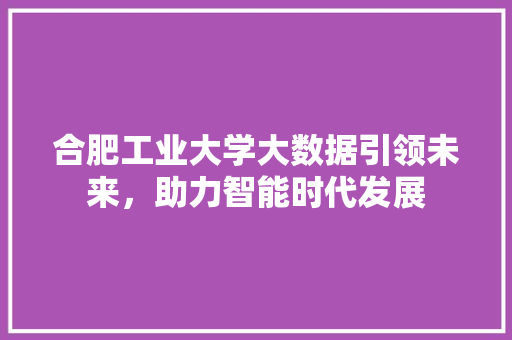 合肥工业大学大数据引领未来，助力智能时代发展