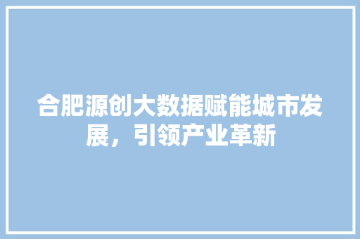 合肥源创大数据赋能城市发展，引领产业革新 编程语言