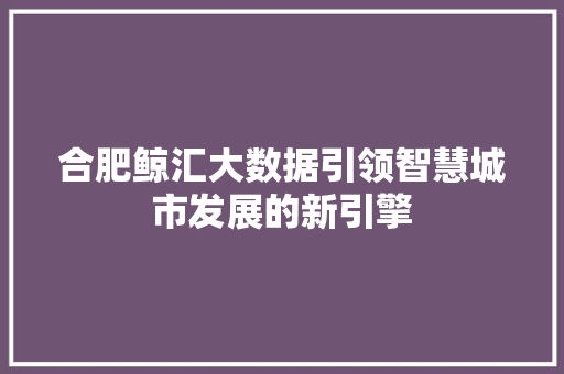 合肥鲸汇大数据引领智慧城市发展的新引擎