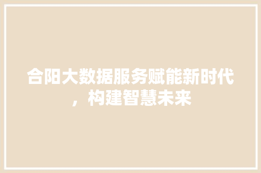 合阳大数据服务赋能新时代，构建智慧未来