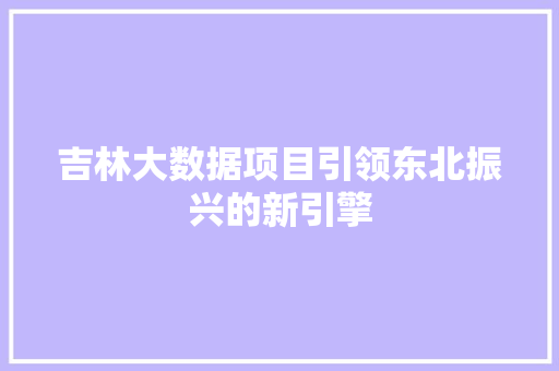 吉林大数据项目引领东北振兴的新引擎