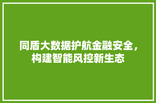 同盾大数据护航金融安全，构建智能风控新生态