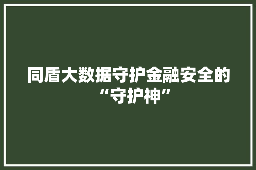 同盾大数据守护金融安全的“守护神”