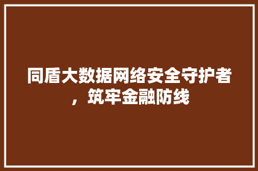 同盾大数据网络安全守护者，筑牢金融防线