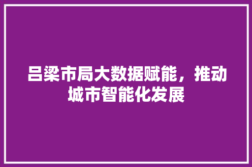 吕梁市局大数据赋能，推动城市智能化发展
