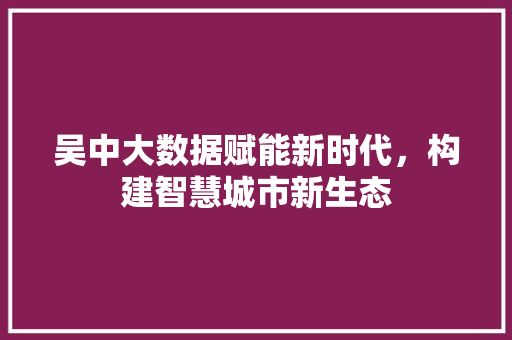 吴中大数据赋能新时代，构建智慧城市新生态