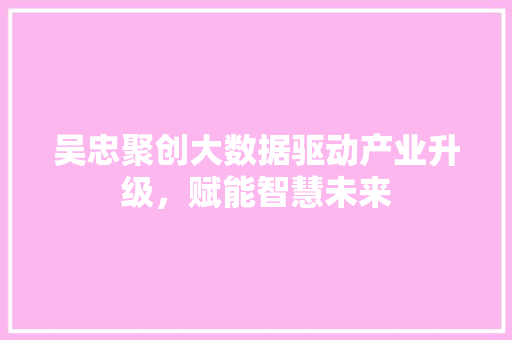 吴忠聚创大数据驱动产业升级，赋能智慧未来