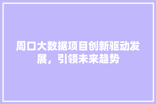 周口大数据项目创新驱动发展，引领未来趋势