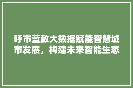 呼市蓝致大数据赋能智慧城市发展，构建未来智能生态