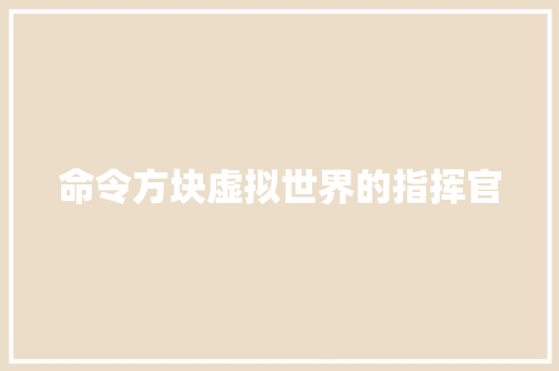 命令方块虚拟世界的指挥官