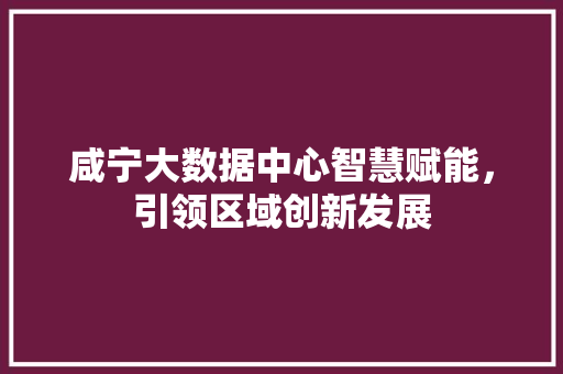 咸宁大数据中心智慧赋能，引领区域创新发展