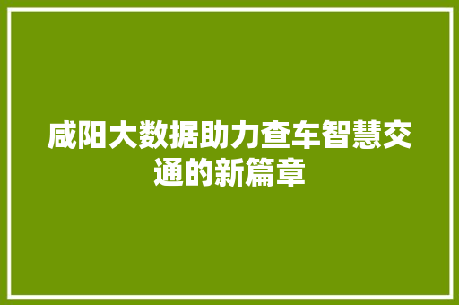 咸阳大数据助力查车智慧交通的新篇章