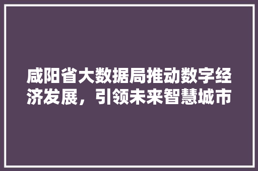 咸阳省大数据局推动数字经济发展，引领未来智慧城市