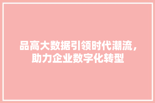 品高大数据引领时代潮流，助力企业数字化转型