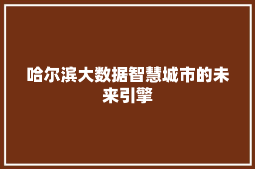 哈尔滨大数据智慧城市的未来引擎