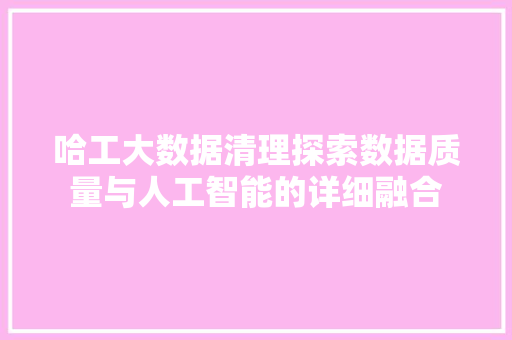 哈工大数据清理探索数据质量与人工智能的详细融合