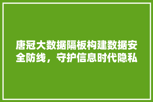 唐冠大数据隔板构建数据安全防线，守护信息时代隐私