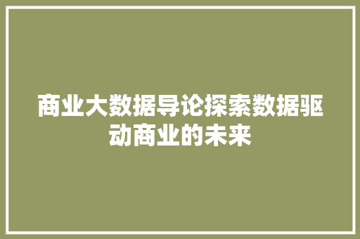 商业大数据导论探索数据驱动商业的未来 商业大数据导论探索数据驱动商业的未来