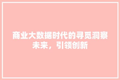 商业大数据时代的寻觅洞察未来，引领创新