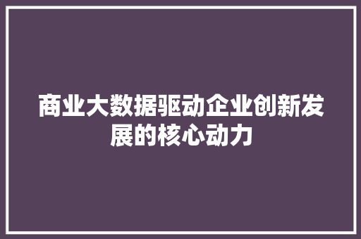 商业大数据驱动企业创新发展的核心动力