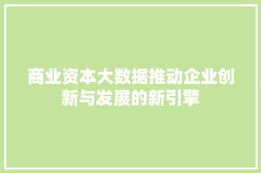 商业资本大数据推动企业创新与发展的新引擎