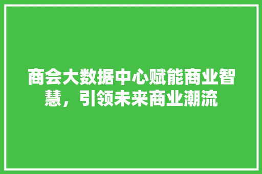 商会大数据中心赋能商业智慧，引领未来商业潮流