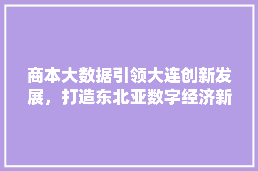 商本大数据引领大连创新发展，打造东北亚数字经济新高地