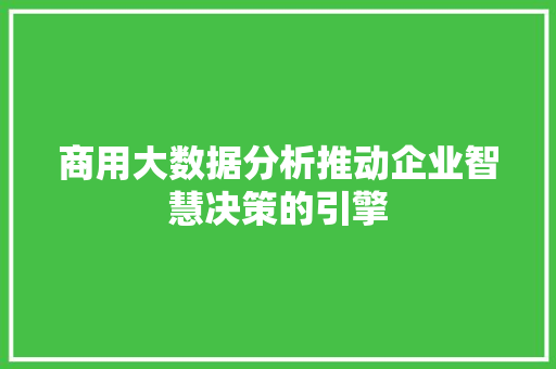 商用大数据分析推动企业智慧决策的引擎 电脑基础 商用大数据分析推动企业智慧决策的引擎 电脑基础