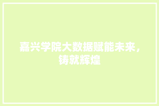 嘉兴学院大数据赋能未来，铸就辉煌