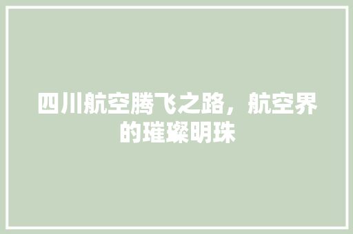 四川航空腾飞之路,航空界的璀璨明珠 四川航空腾飞之路,航空界的璀璨明珠