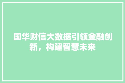 国华财信大数据引领金融创新,构建智慧未来 国华财信大数据引领金融创新,构建智慧未来