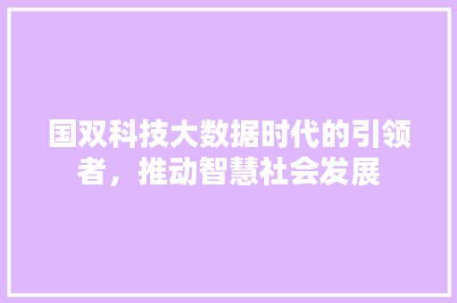 国双科技大数据时代的引领者，推动智慧社会发展
