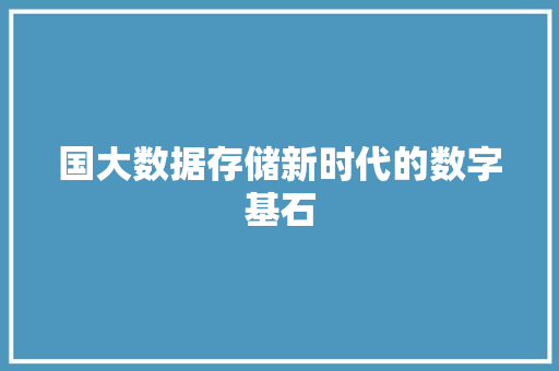 国大数据存储新时代的数字基石 国大数据存储新时代的数字基石