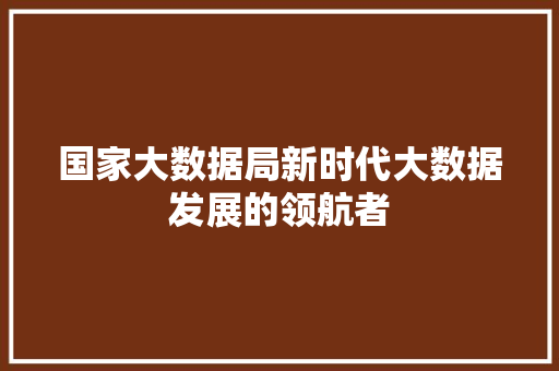 国家大数据局新时代大数据发展的领航者