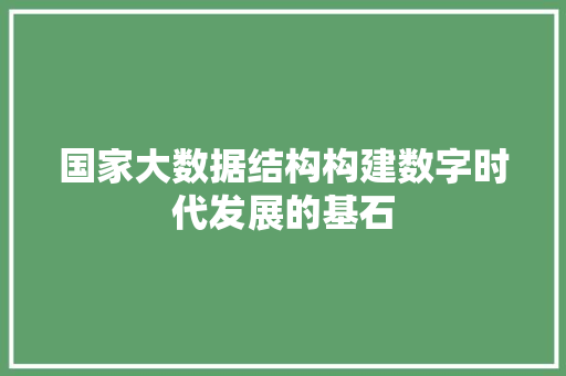 国家大数据结构构建数字时代发展的基石