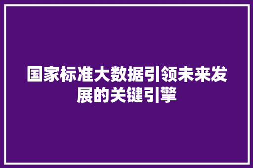 国家标准大数据引领未来发展的关键引擎
