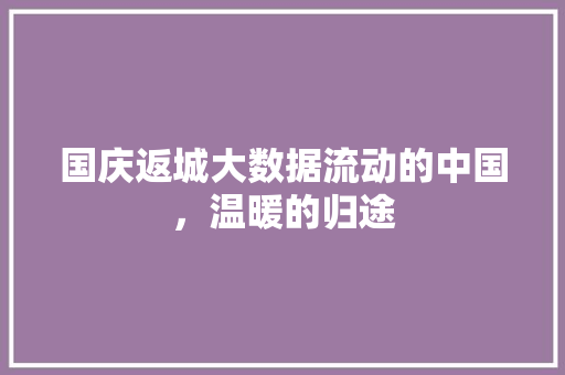 国庆返城大数据流动的中国，温暖的归途 网络技术