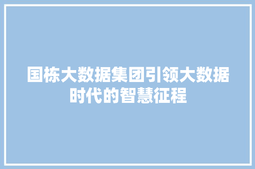 国栋大数据集团引领大数据时代的智慧征程