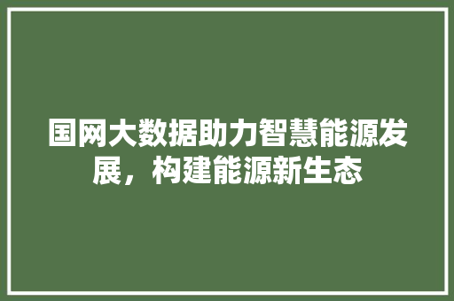 国网大数据助力智慧能源发展，构建能源新生态 电脑配置