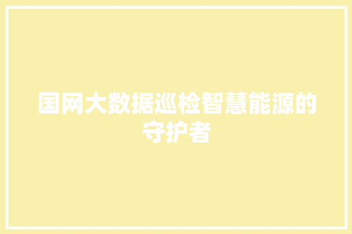 国网大数据巡检智慧能源的守护者