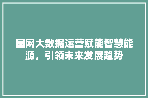 国网大数据运营赋能智慧能源,引领未来发展趋势 国网大数据运营赋能智慧能源,引领未来发展趋势